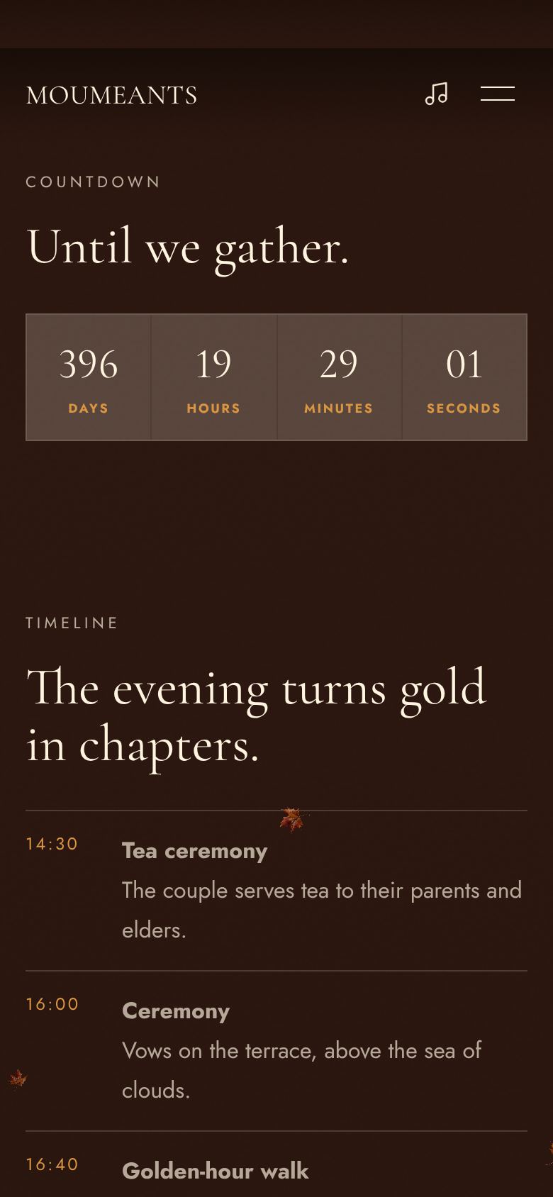 The countdown and the program of the day